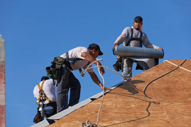 Best Roof Restoration Services  in Baxter Estates, NY